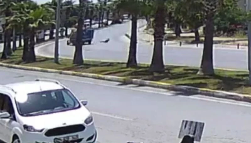 Seyir halindeki tüp kamyonetinin önüne atladı
