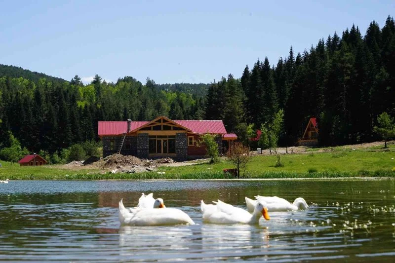 Doğa turizminin kalbi bu ilçede atacak
