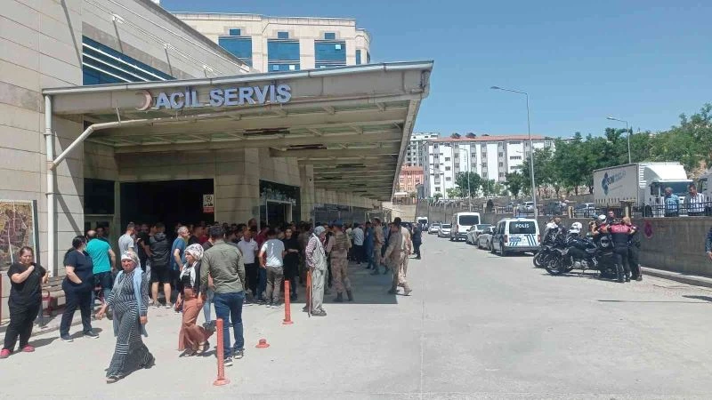 Bakan Soylu açıkladı: 