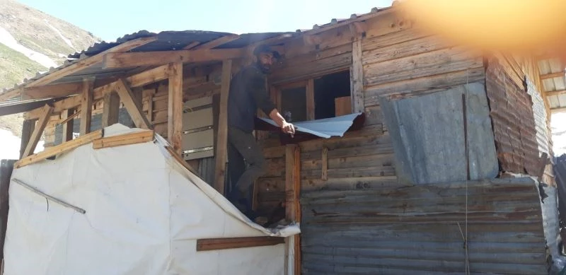 Aç kalan ayılar yayla evlerini talan etti
