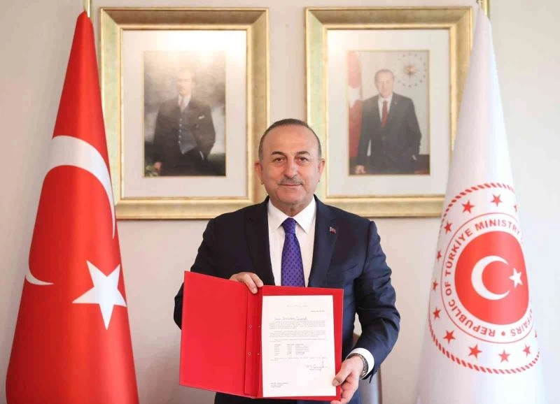 Bakan Çavuşoğlu: 