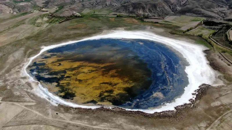 Kurumaya başladı, rengarenk oldu
