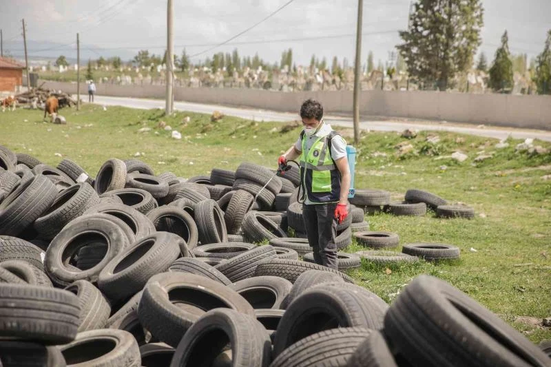 Kütahya’da haşere ile mücadele başladı