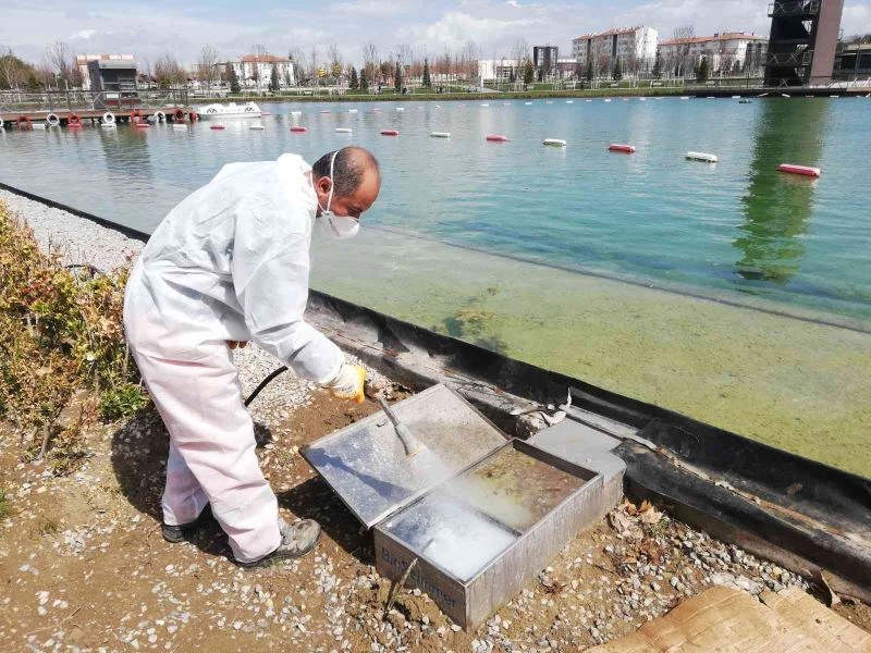 Çorum’da vektörel mücadele çalışmaları sürüyor
