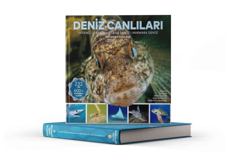 Türkiye’nin en geniş “Deniz Canlıları” kaynağı okuyucuyla buluştu
