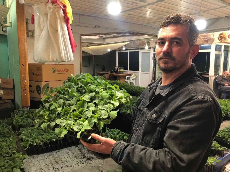 Vatandaşlar kendi sebzelerini üretmek için fideye koştu
