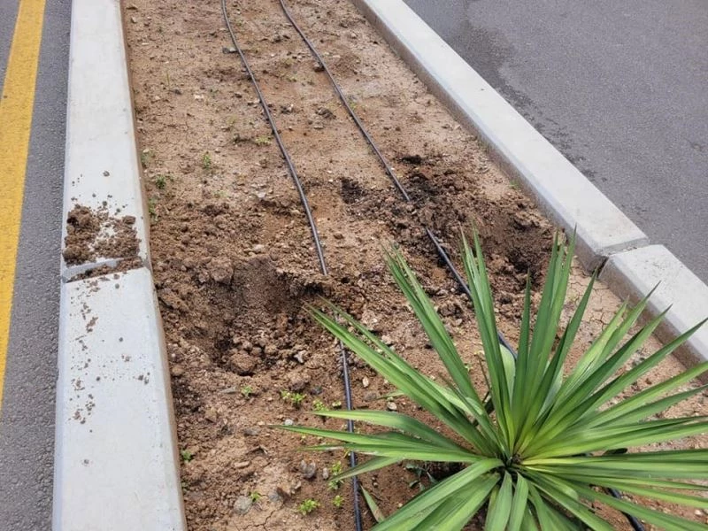 Cadde üzerindeki çiçeklere zarar veren şahıs gözaltına alındı
