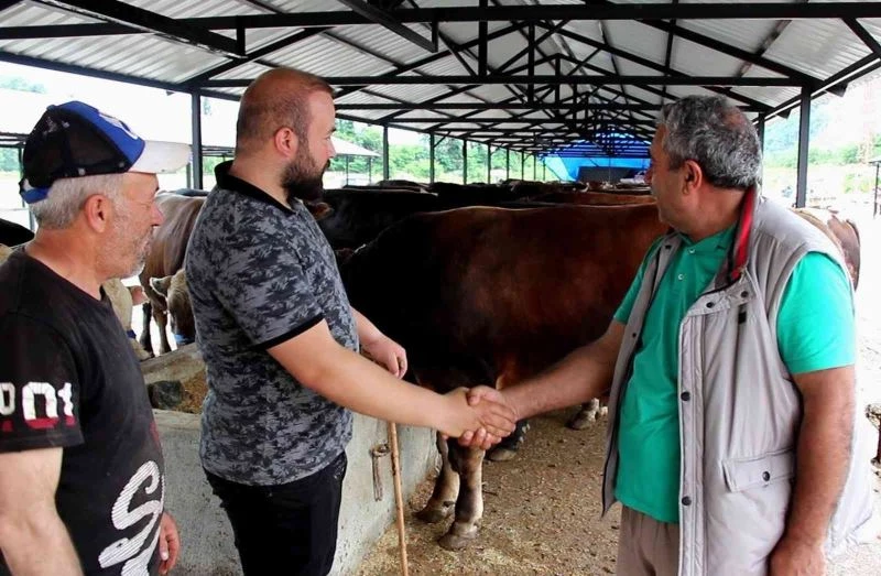 Kurbanlıklarda bu yıl pazarlıklar kızışacak
