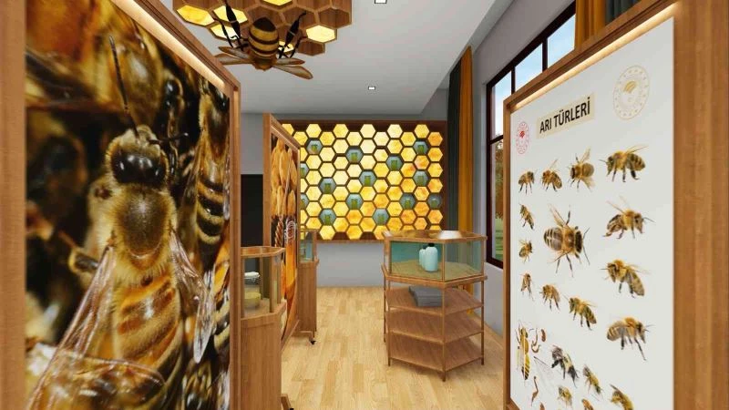 Arının yaşamını sanal ortama taşıyacak 