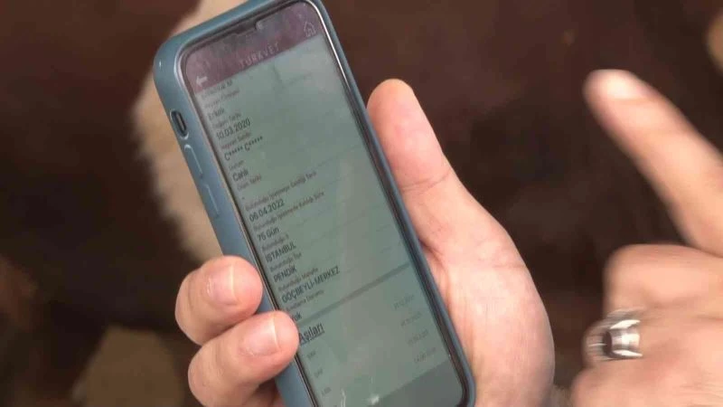 İstanbul İl Tarım Müdürü Ahmet Yavuz Karaca; 