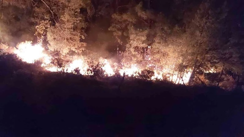 Yangına 576 personel, 148 arazöz, 53 iş makinesi müdahale ediyor
