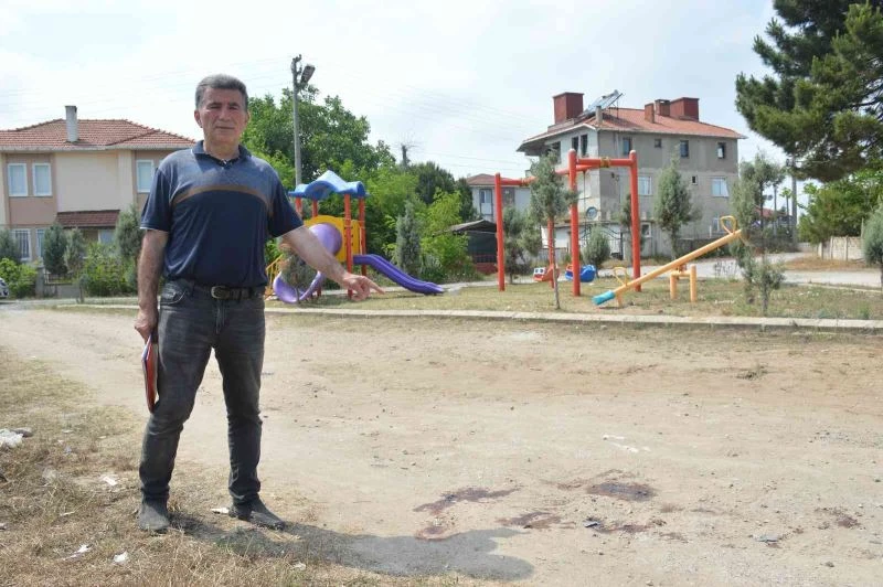 Çocuk parkı yanında sokak köpeklerinin saldırısına uğradı
