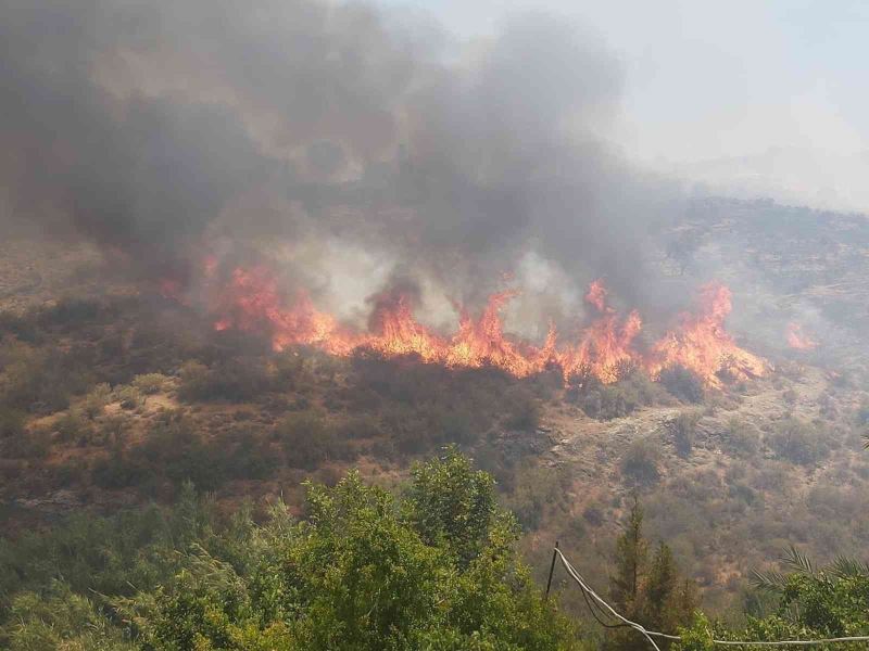 KKTC’deki orman yangınıyla mücadele devam ediyor
