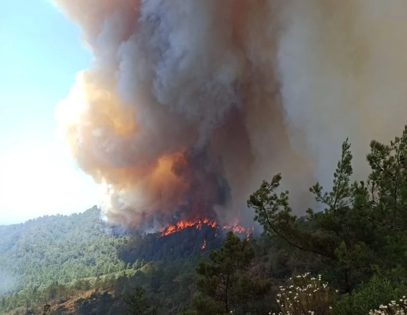 19 saattir alev alev yanıyor
