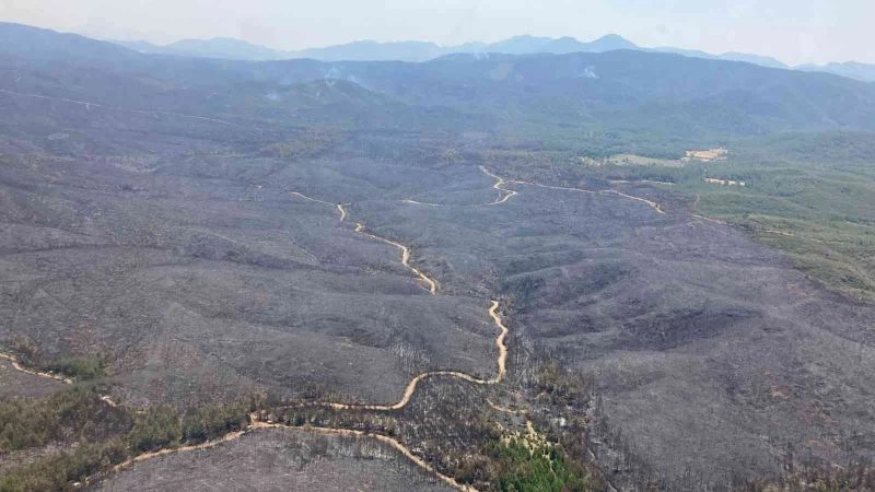 Yangının büyüklüğü gözler önüne serildi

