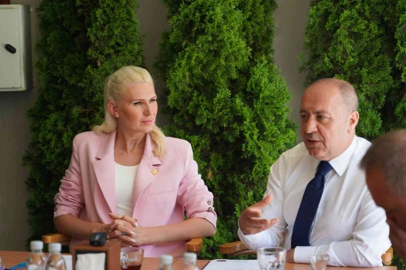 Başkan Yardımcısı Kazıcı o iddialara yanıt verdi
