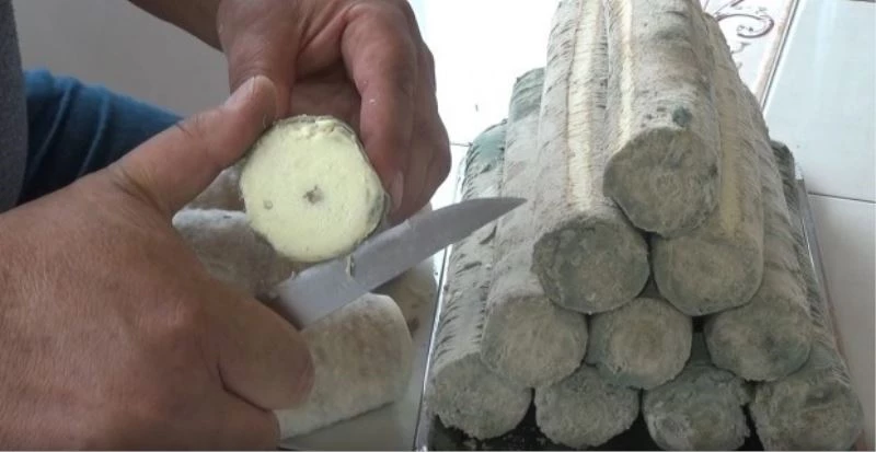 Çorum’un 1650 rakımlı yaylasında üretilen peynire ilgi büyük
