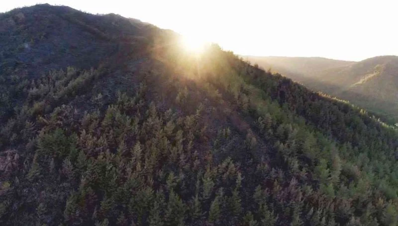 Marmaris’te yürekleri dağlayan kara tablo havadan görüntülendi
