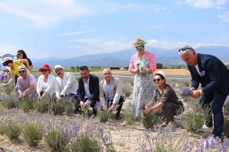 Salihli’de lavanta şenliğinin üçüncüsü yapıldı
