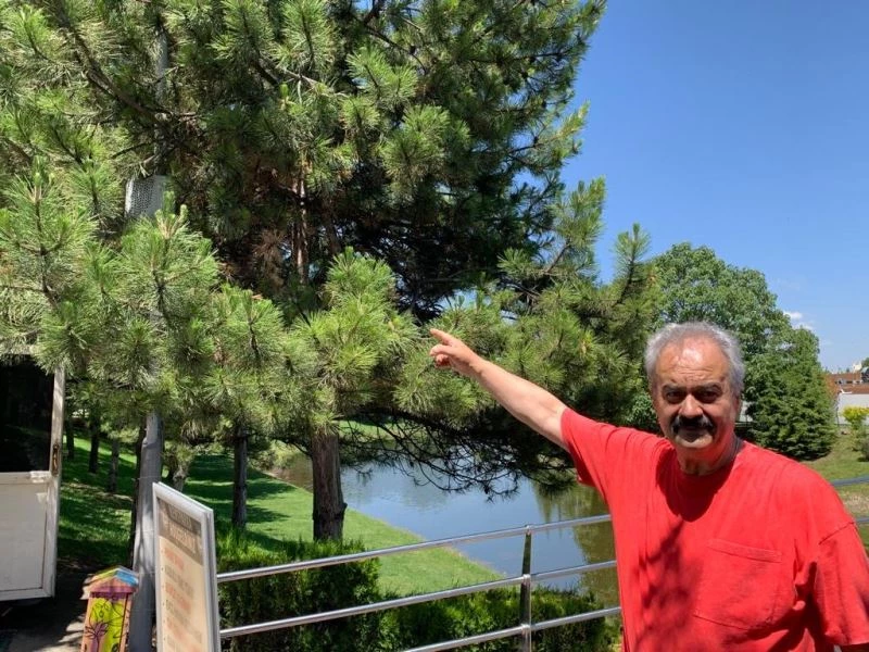 Belediyenin koyduğu cihazın köpekleri engellediği iddiası
