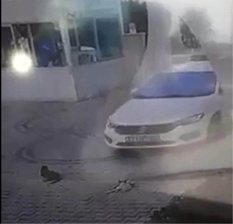 Otomobilini kedilerin üzerine sürüp, birini telef etti
