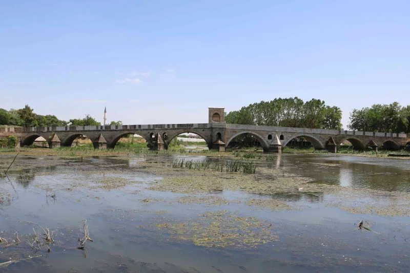 Tunca Nehrindeki debi düşüklüğü su bitkilerinin artışına neden oldu
