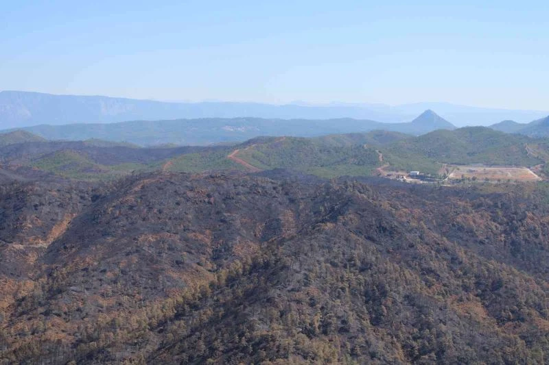 Yangından sonra Bördübet havadan görüntülendi
