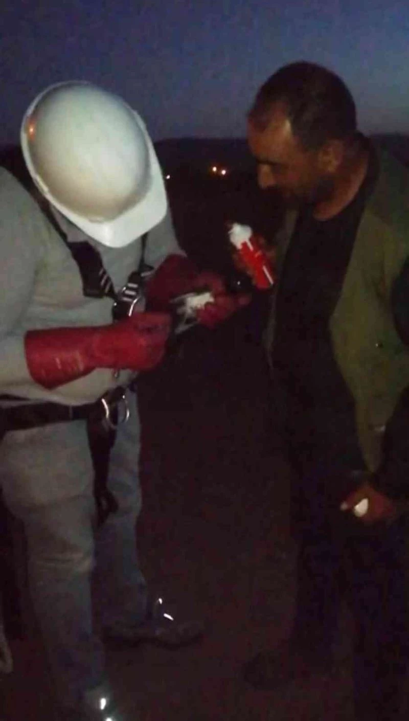 Bitlis’te elektrik tellerine takılan karga kurtarıldı
