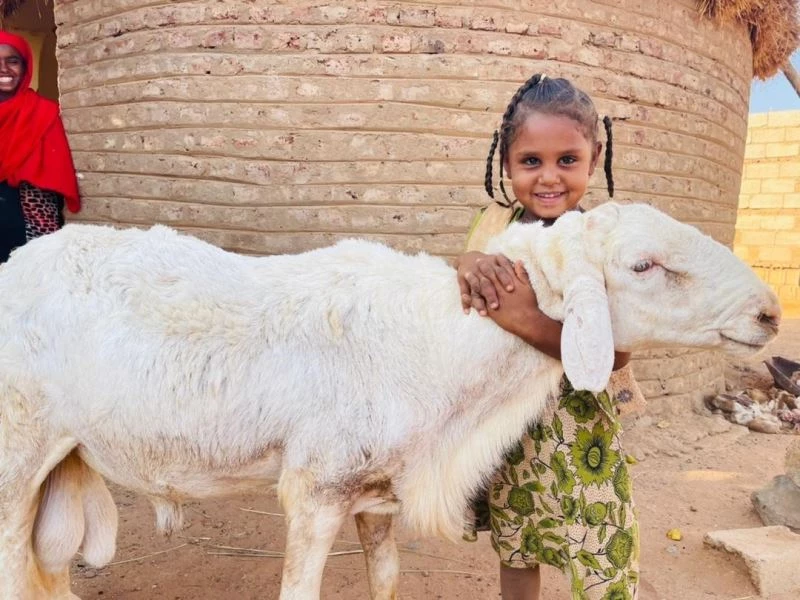 2022 yılı kurban vekalet ücretleri belli oldu
