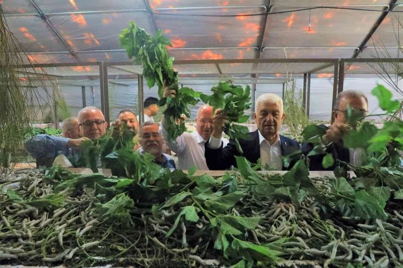 İpekböceği yetiştiricilerine destek
