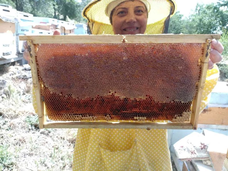 Bahar balında 12 yıl sonra yaşanan bolluk arıcıları sevindirdi
