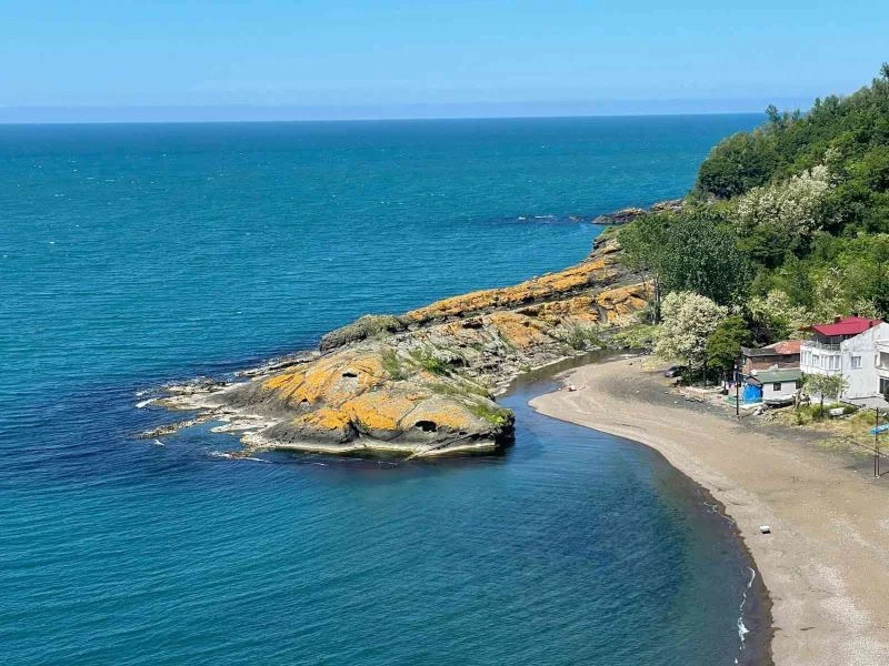 Görenler ’timsah’ sanıyor
