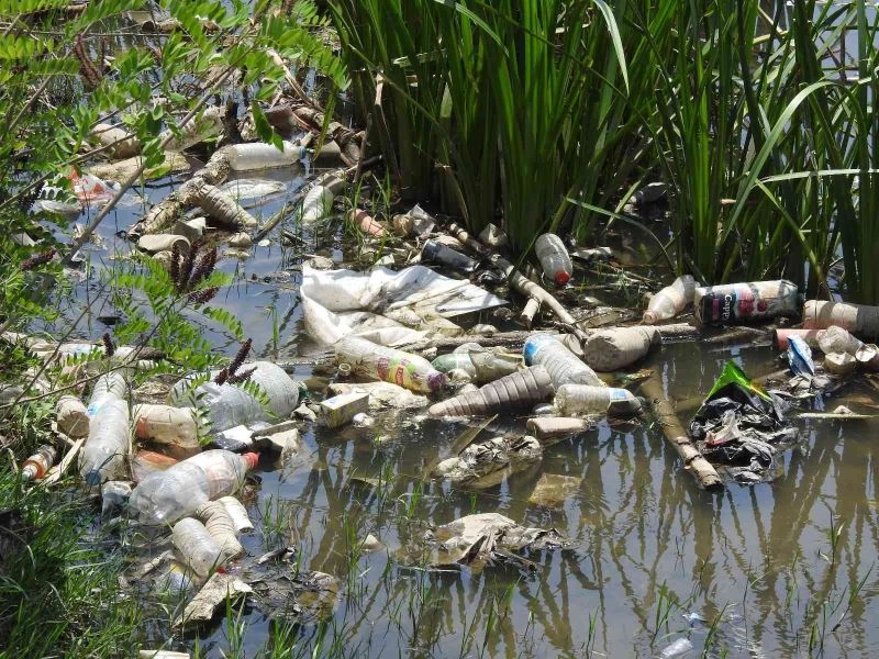 Profesörden uyarı: 