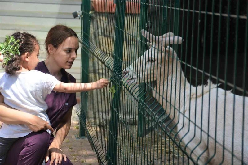 Babasının yanına bile gelmeyince, gerçek ortaya çıktı
