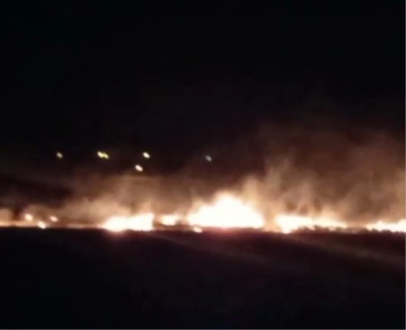 Arpa ve buğdaylar yangında  küle döndü
