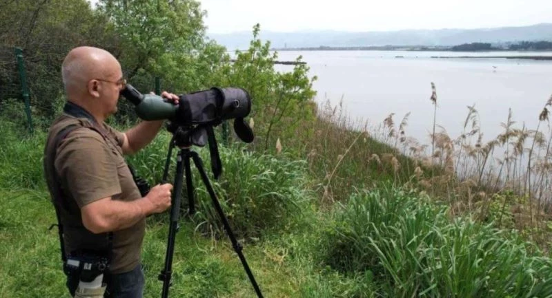 Hersek Lagünü’nde kuş tür sayısı 246’ya çıktı
