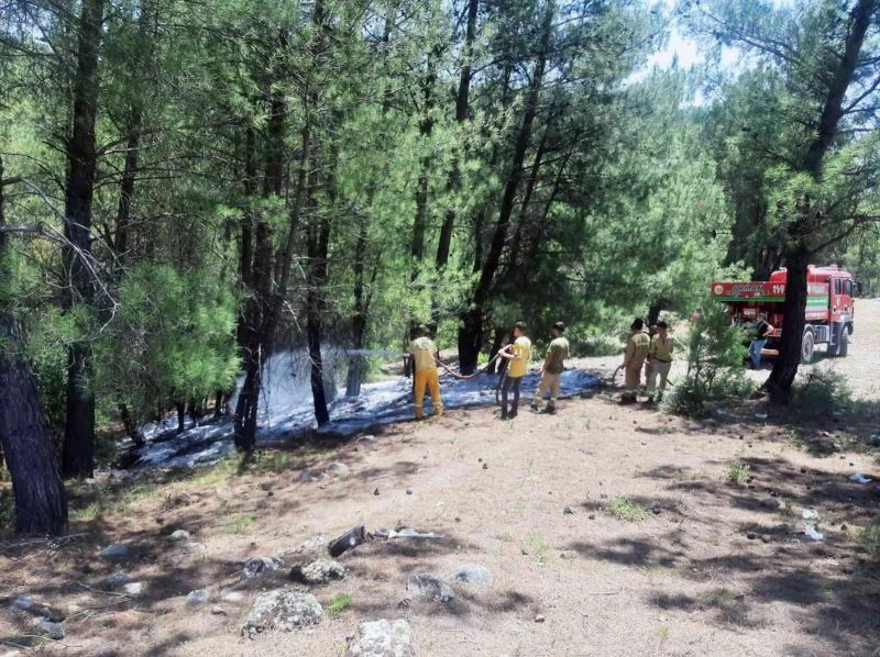 Ormanı yakarken yakalandı, tutuklandı
