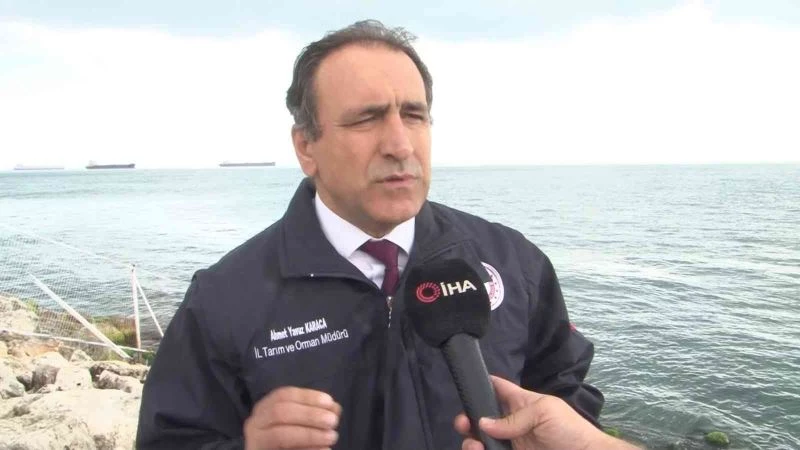 İstanbul’da Marmara Denizi’nde ‘Pusula Deniz Anası’ tehlikesi
