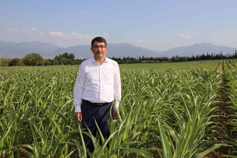 Şehzadeler Belediyesi tarımsal desteklemelerine yenilerini ekliyor
