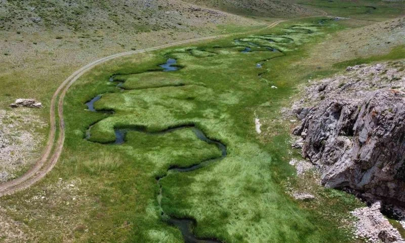 Her yerde yaz, orada bahar
