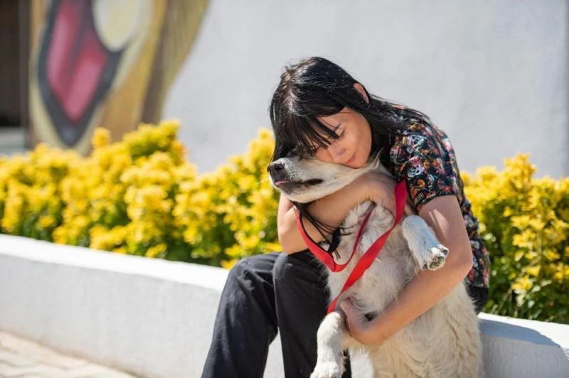 Önce tedavi ettiler, sonra sahiplendiler
