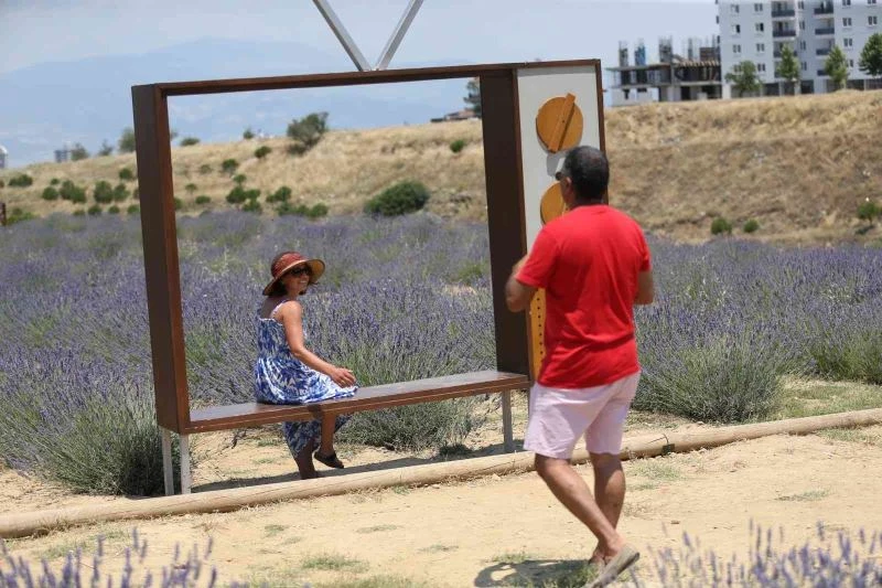 Merkezefendi lavanta kokacak

