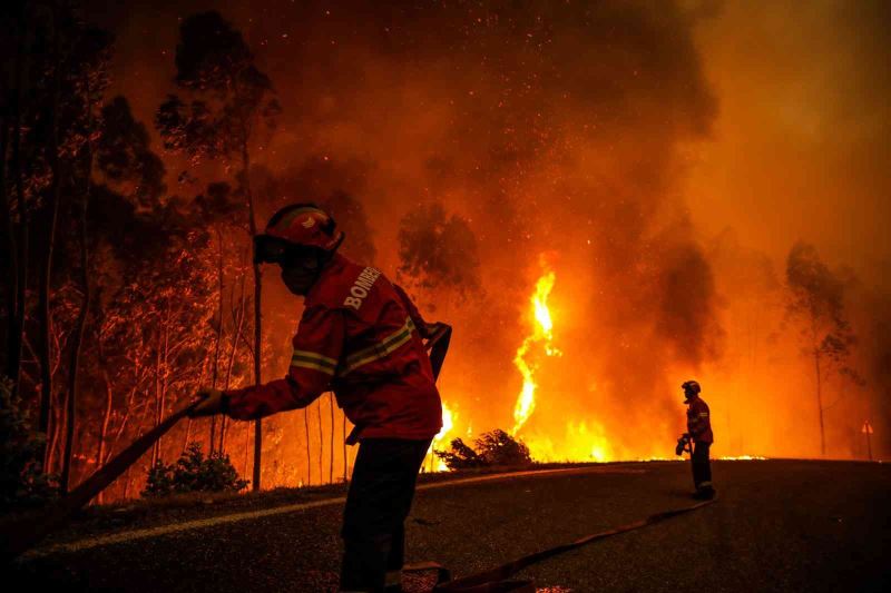 Portekiz’de 14 noktada orman yangını
