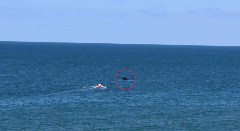 Boğulma ihbarı ekipleri harekete geçirdi, gördükleri cisim ‘kütük’ çıktı
