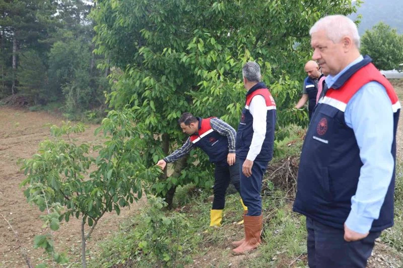 9 ayrı ekiple hasar tespit çalışmaları sürdürülüyor
