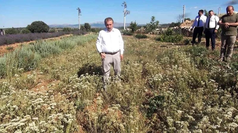 Destici: “Muhalefetin elinde koz bırakmayacağız”
