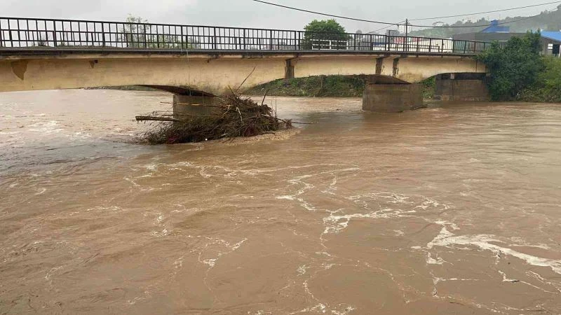 Ordu’da aşırı yağışlar sel ve taşkınlara dönüştü

