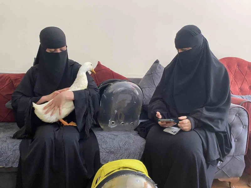 Bahçeşehir’deki ördekleri çantasına koydukları iddia edilen kadın yaşananları anlattı

