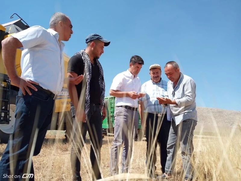 Çiftçinin emeği kaybolmasın diye denetimler sıklaştırıldı
