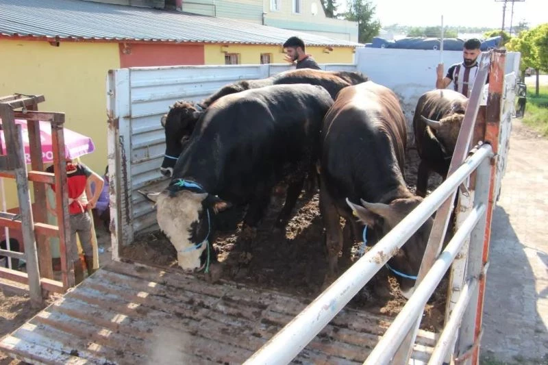 İhtiyaçlıların yüzü gülecek
